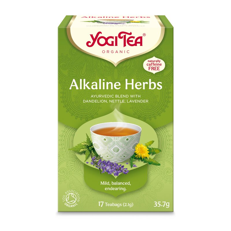 Yogi Tea Yrtti-hedelmä-maustetee 17x2g