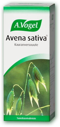 Avena sativa Kauranversouute 