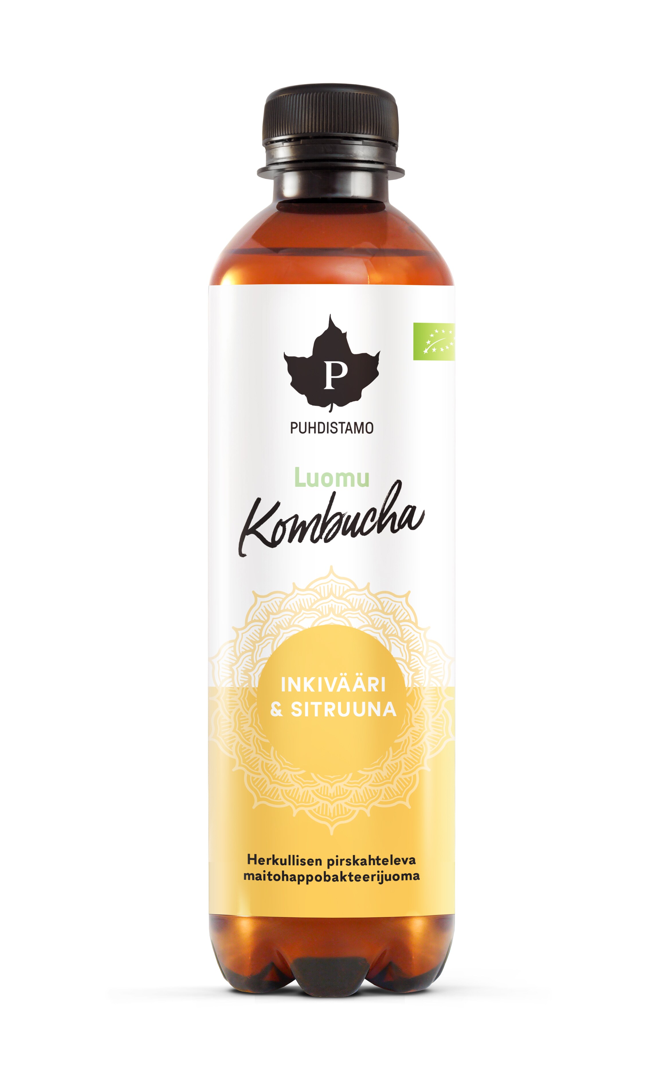 Puhdistamo Kombucha, Inkivääri + Sitruuna (L)
