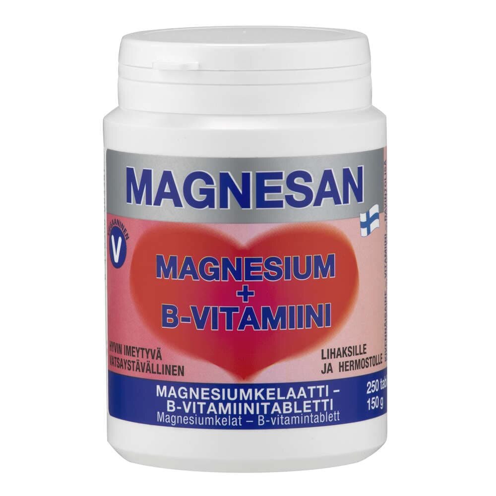Magnesan+B 100 tabl,  magnesiumkelaatti - B-vitamiinitabletti
