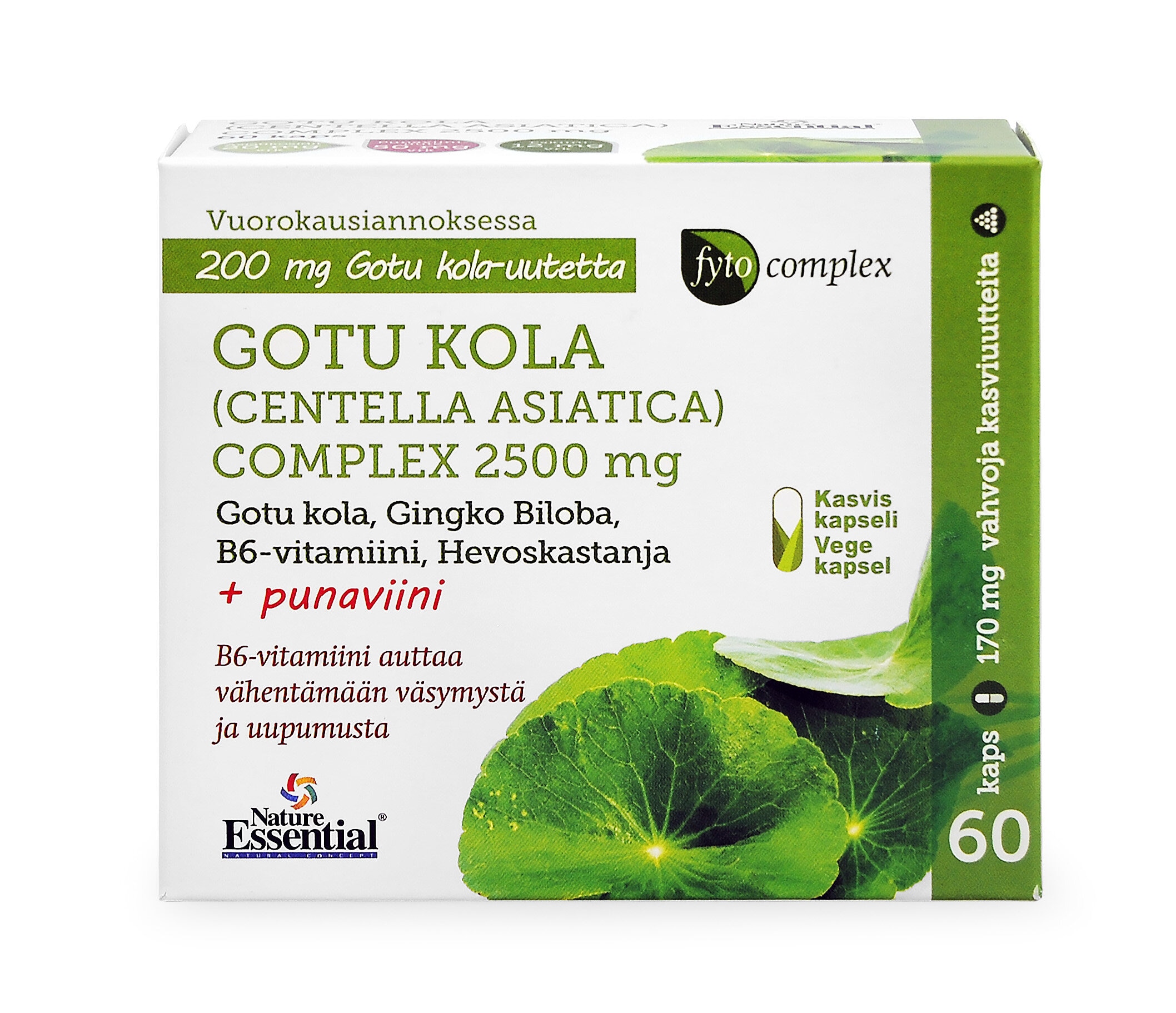 Fytocomplex Gotu Kola Comp 2500 mg
