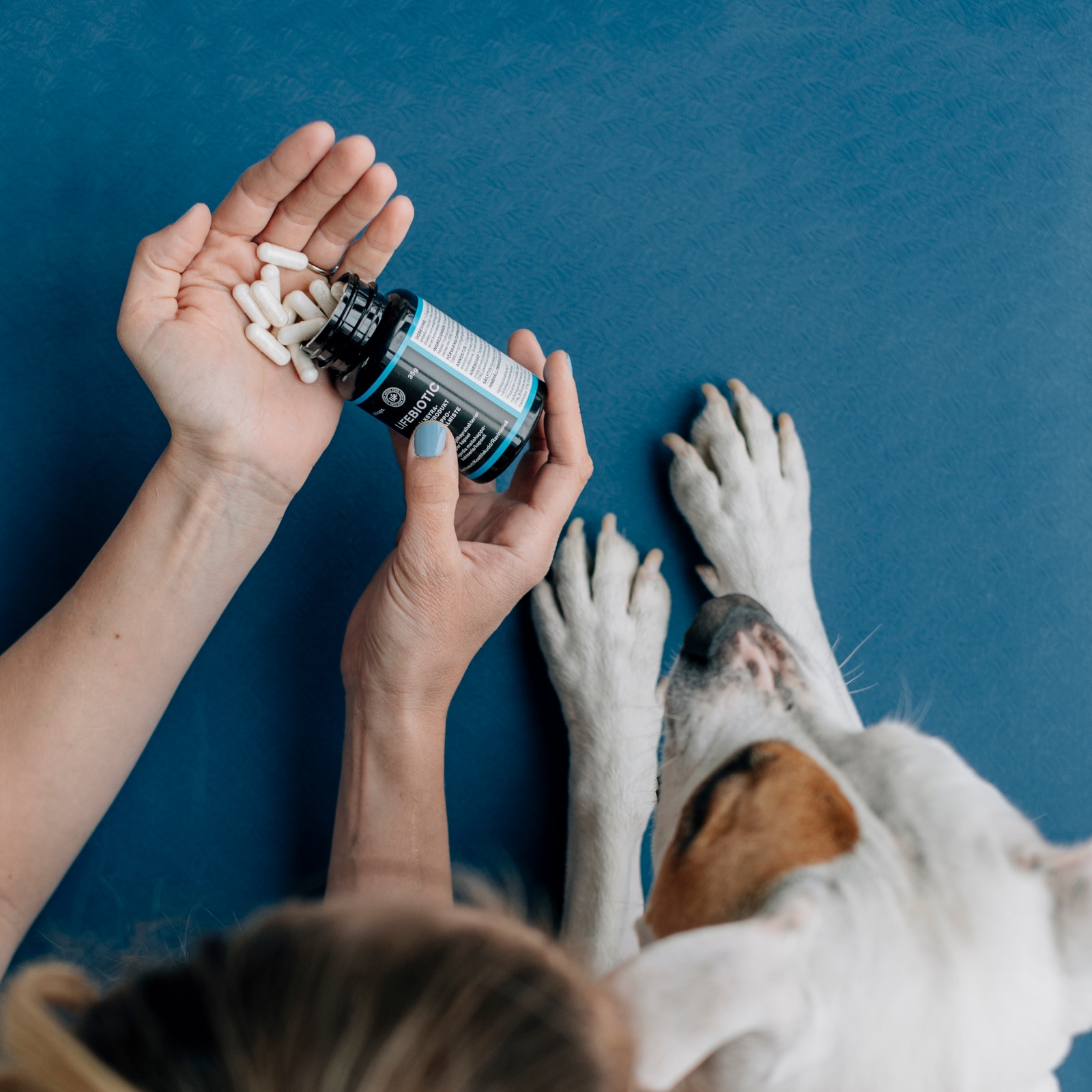 Lifebiotic maitohappobakteeri