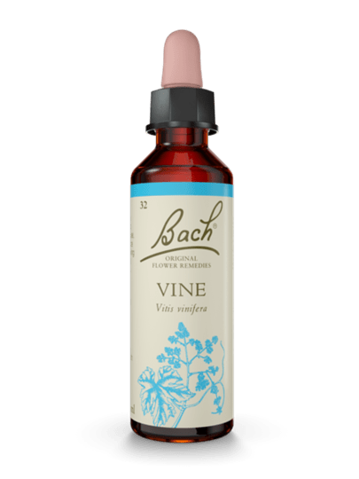 Bach kukkatipat Vine, Viiniköynös