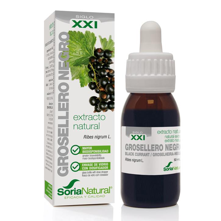 Soria Natural Mustaherukanlehtiuute XXI